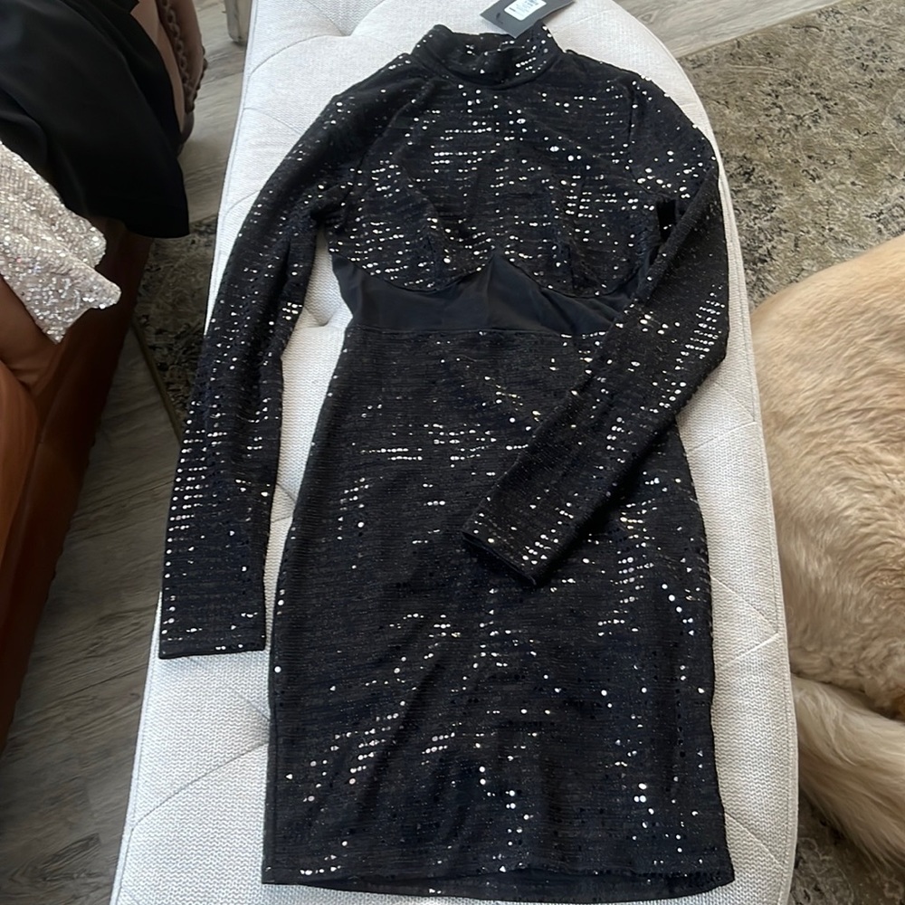 Fashion nova dress